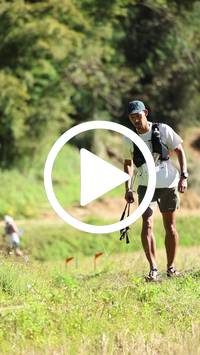 BIB:  <button type="button" onclick="openModal(26567042)" class="btn btn-primary btn-sm float-right" data-toggle="modal" data-target=".modal-high-quality">
                <i class="fa fa-download"></i> Download
                </button>